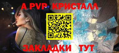 стаф Тара