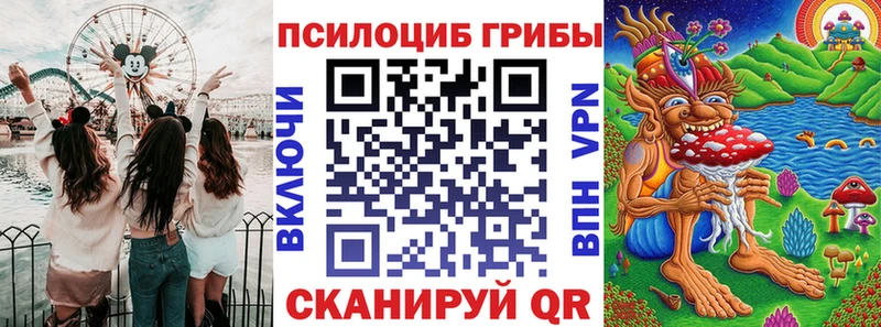 OMG ССЫЛКА  Торжок  Псилоцибиновые грибы прущие грибы 